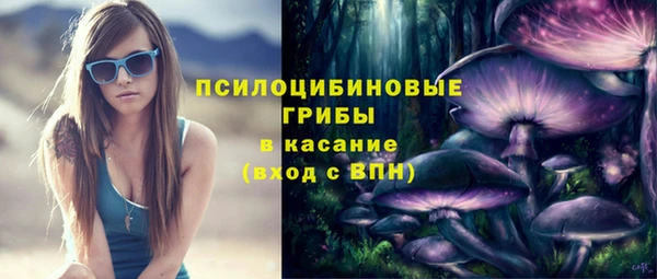 твердый Аркадак