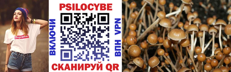 Псилоцибиновые грибы мицелий  hydra как войти  Усть-Илимск 