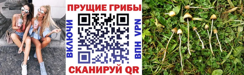 Галлюциногенные грибы прущие грибы Усть-Илимск