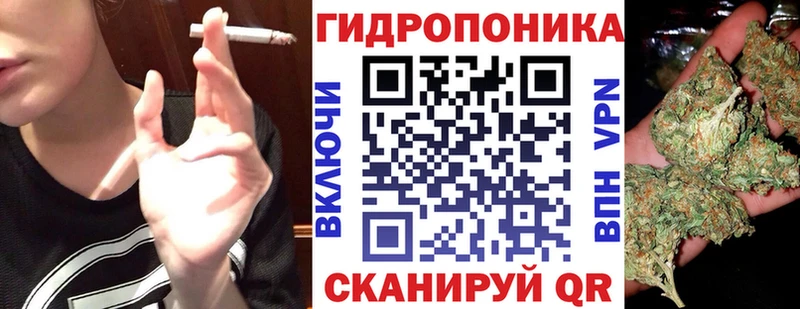 Шишки марихуана семена  MEGA ссылка  Усть-Илимск 